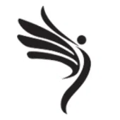 Logo Levinci Group