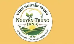 Logo HỘ KINH DOANH NGUYỄN TRUNG(KNB)