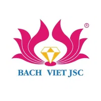 Logo Công Ty Cổ Phần Thương Mại Và Đầu Tư Bách Việt