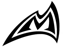 Logo Công Ty Nelson Sports Inc.