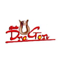 Logo Công Ty TNHH Kỹ Nghệ Stand Dragon