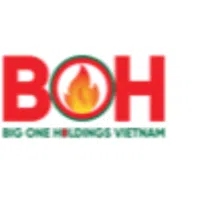 Logo Công Ty Cổ Phần Bất Động Sản Big One Holdings Việt Nam