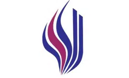 Logo CÔNG TY TNHH BIG STONE VINA