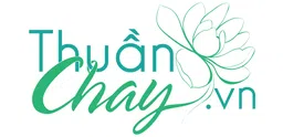 Logo Công Ty TNHH Thuanchay.vn