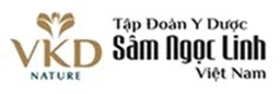 Logo CÔNG TY CỔ PHẦN TẬP ĐOÀN Y DƯỢC SÂM NGỌC LINH VIỆT NAM