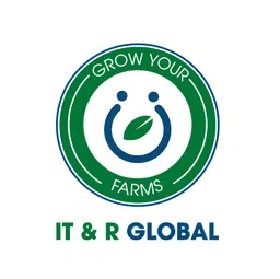 Logo CÔNG TY TNHH IT & R TOÀN CẦU
