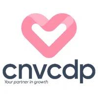Logo Công Ty Tnhh CNV Holdings