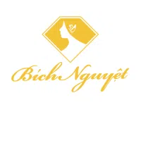 Logo Công ty Cổ phần Thẩm mỹ Bích Nguyệt