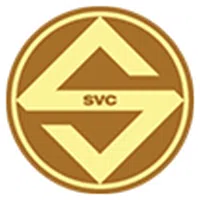 Logo Công ty Cổ phần Sóng Việt