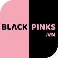 Logo Công Ty Cổ Phần Blackpinks.VN