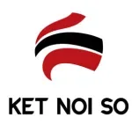 Logo Công ty Cổ Phần Giải Pháp Kết Nối Số