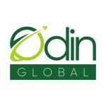 Logo công ty cổ phần giáo dục quốc tế ODIN