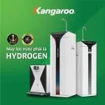 KANGAROO QUỐC TẾ