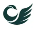 Logo CÔNG TY CỔ PHẦN LOPA SILVER
