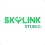 CÔNG TY CỔ PHẦN SKYLINK STUDIO