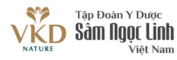 Logo Công ty Cổ phần Tập đoàn Y Dược Sâm Ngọc Linh Việt Nam