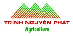 Trình Nguyên Phát