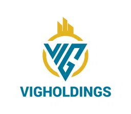 VIGHOLDINGS