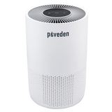 Paveden PAP-M1133 15.6W