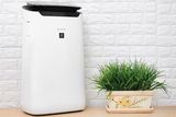 Sharp FP-J60E-W 38W