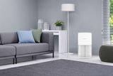 Xiaomi Pet Care Air Purifier EU (BHR9969EU) 27W
