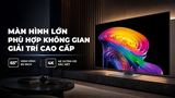 OLED LG AI 4K 65 inch OLED65C6PSA