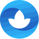 Logo Double Coin