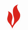 Logo Chứng khoán Dầu khí (PSI)