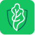 Logo Saladin