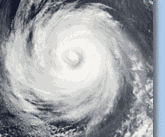 Logo CIMSS Tropical Cyclones