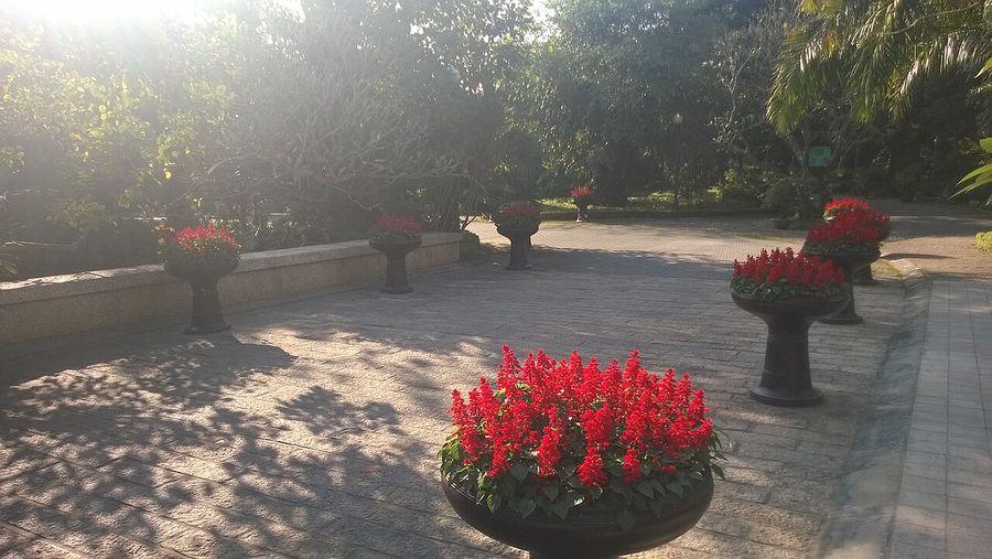 Spring park of Ecopark in 2014 11