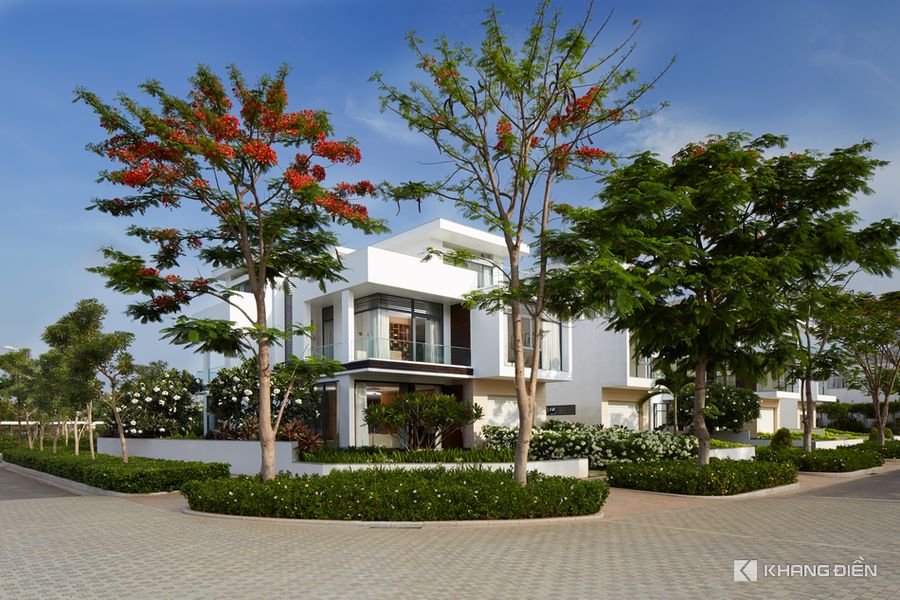 Phối cảnh Lucasta